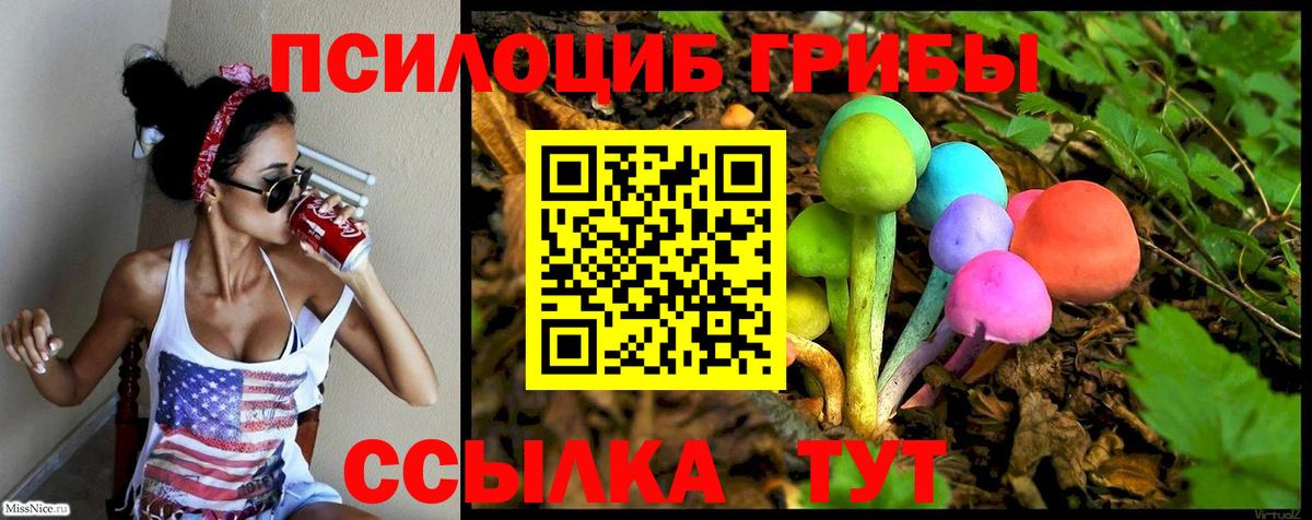 Томск  Псилоцибиновые грибы Psilocybine cubensis  Вход с VPN 