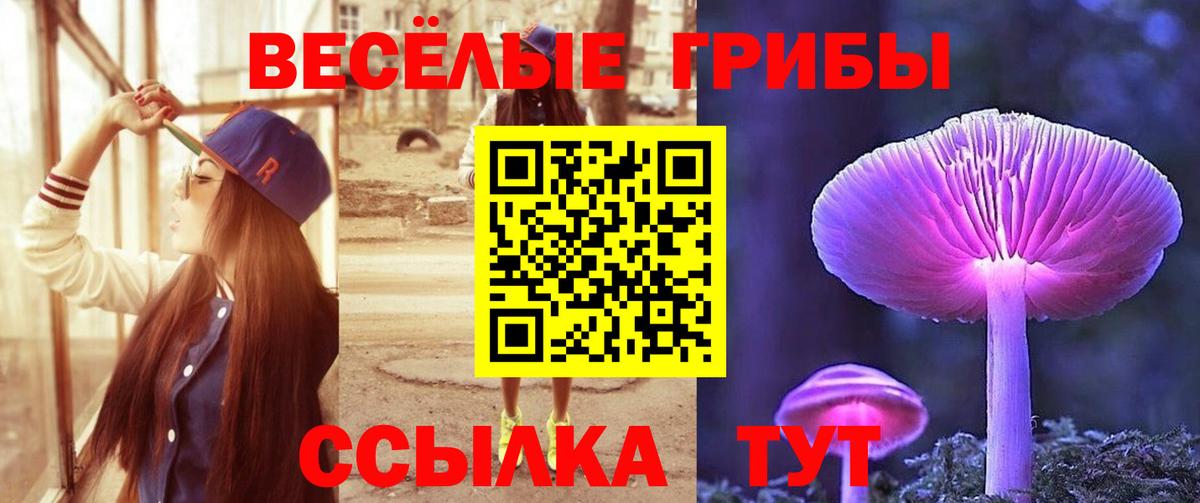 Галлюциногенные грибы GOLDEN TEACHER Томск